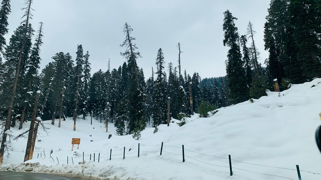 Snow in Srinagar by Kahan Jau Snow in Srinagar by Kahan Jau